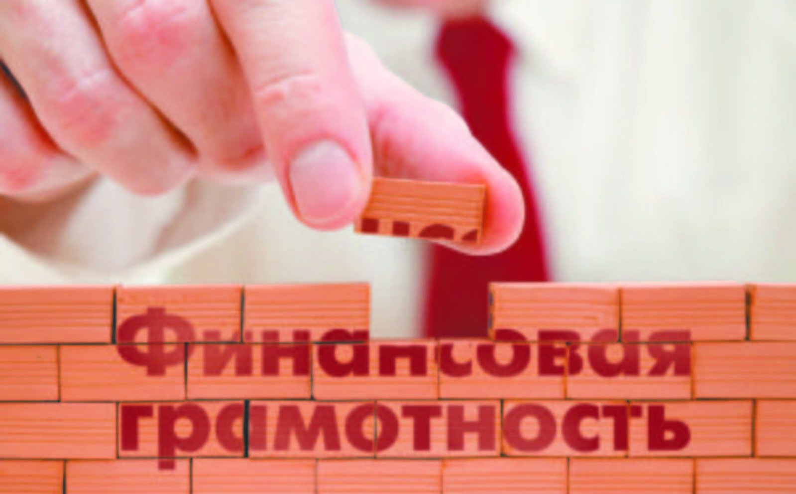 картинка1